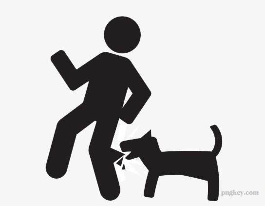 Attacked by a Dog: When Should You Get an Attorney Involved?